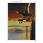 Landing Patterns by Paul Jackson aws, nws Greeting Cards