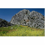 Landscape near Ronda, Andalucia, Spain Acrylic Cut Out