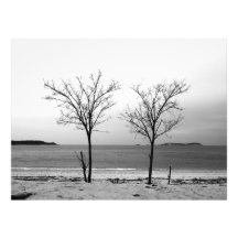 landscape photographic print