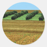 Landscape with olive trees, La Mancha, Spain Round Sticker