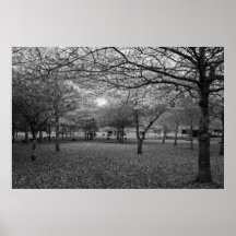 Landscape with trees poster