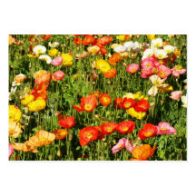 Landscaping Business Card