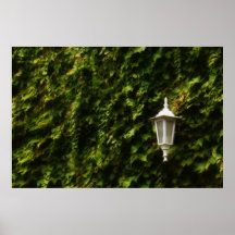 Lantern Print