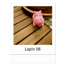 Lapin 06 post card