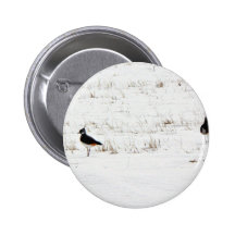 Lapwings Pinback Buttons