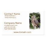 Large Owl on Fence Business Cards business cards