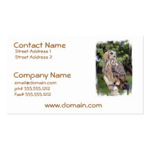 Large Owl on Fence Business Cards