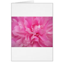 Large Pink Peony Card