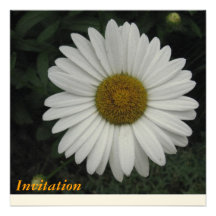 Large White Daisy Party Invitation