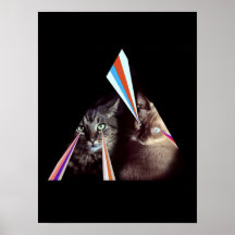 laser cats poster