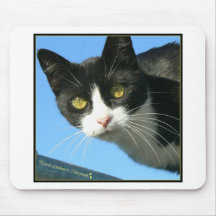 Last Hopes Curious Bandit Mousepad