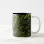 Latourell Falls & Bridge Columbia River Gorge Mugs