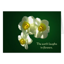 Laughin Earth Spring Narcissus Note Card