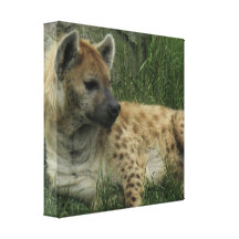 Laughing Hyenas Canvas Print