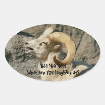 Laughing Rocky Mountain Bighorn Sheep Sticker