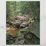 Laurel Run in Virginia Custom Flyer
