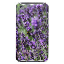 Lavender Fields iTouch Case iPod Touch Covers