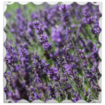 Lavender Fields Set of Four Napkins
