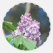 Lavender Lilac  Stickers