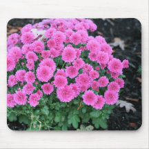 lavender mums mouse pads