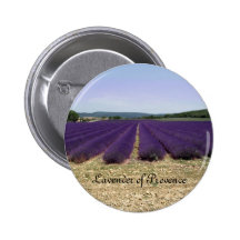 Lavender of Provence Pinback Buttons