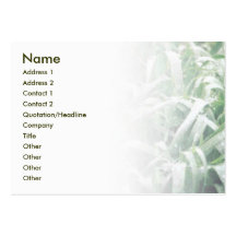 Lawn Business Card