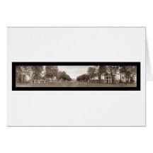 Lawn University of Virginia Huge Photo 1911 Greeting Cards