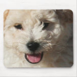 Lawrence 6 mousepads