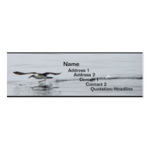 Layson Albatross Business Card