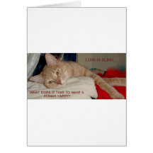 LAZY CAT GREETING CARD