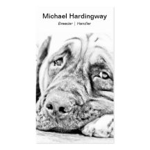 Lazy Mastiff Business Card