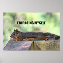 Lazy Squirrel Photo Poster