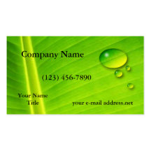 Leaf and water drops business card template