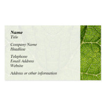 Leaf. Digital Art. Business Card Templates