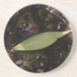 Leaf in a Puddle Coasters