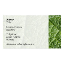 Leaf Pattern Design. Business Cards