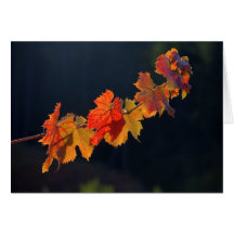 Leafs On A Twig Cards