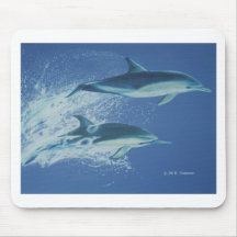 Leaping Dolphins Mousepad