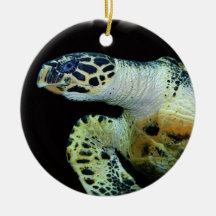 Leatherback Sea Turtle Ornament