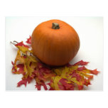 Leaves And Pumpkins Post Card