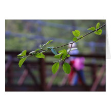 Leaves Bridges Leaf Greeting Card