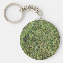 Leaves in grass key chains