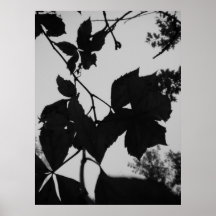 Leaves Print