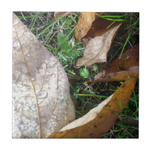 leaves tile