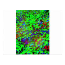 LEAVES TO ABSTRACTS ASSORTED POST CARDS