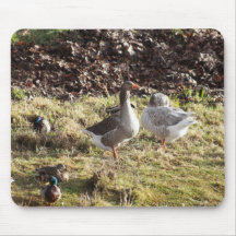Leisure Ducks Mouse Pad