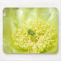 Lemon Yellow Cactus Mousepad