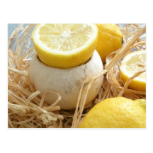 Lemons Postcard
