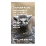 Lemur Baby Business Cards business cards
