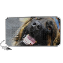 Leonberger  Speakers
